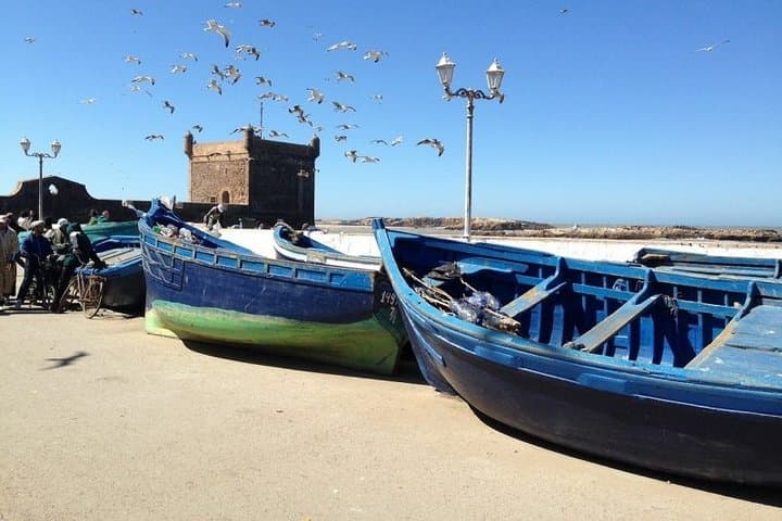 Essaouira Day Trip from Marrakech: Atlantic Ramparts, Fish Markets & UNESCO Medina photo 1