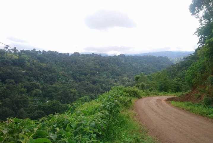 Materuni Waterfalls & Chagga Coffee Day Tour from Moshi photo 6