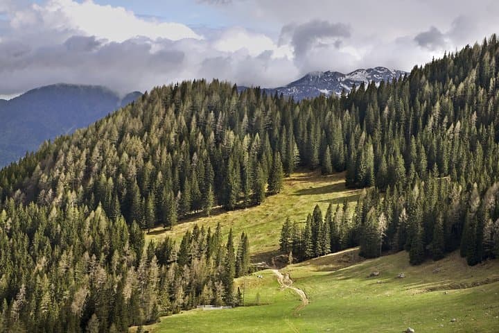 Half-Day Hike to Viševnik: Easy Alpine Summit with Triglav Views photo 4