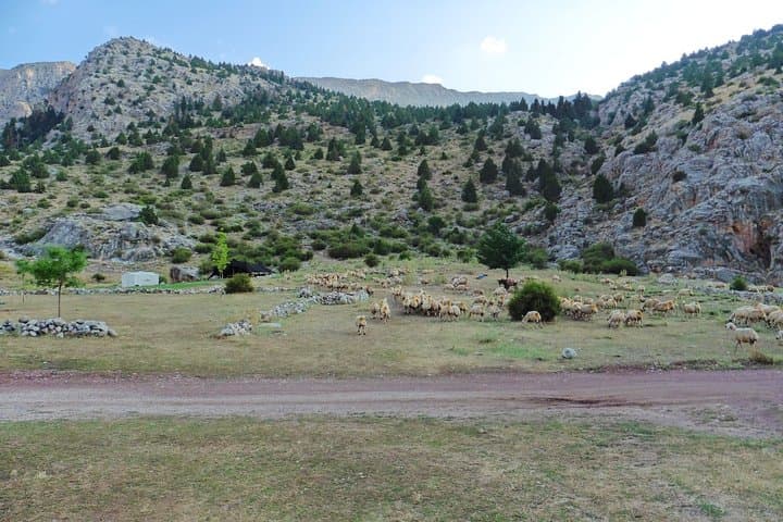 Taurus Mountains Trekking Tour to Embler Summit (3723m) photo 5
