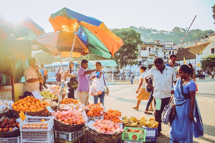 12-Day Private Sri Lanka Round Trip: Sigiriya, Kandy, Tea Country & Yala Safari photo 4