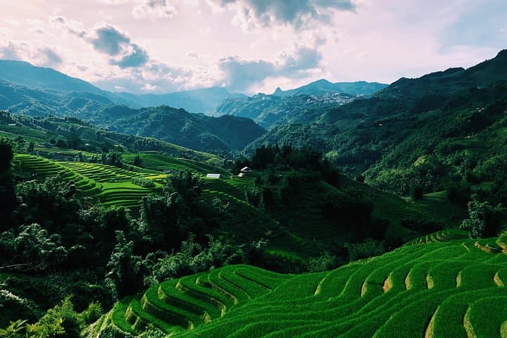 Sapa 2-Day Ta Van Trek & Homestay — Trek, Cook and Indigo Dye with H’mong Hosts photo 4