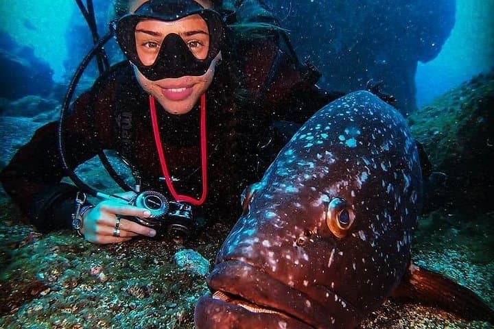 3-Day SSI Open Water Scuba Course in Madeira: Learn to Dive Near Funchal photo 3