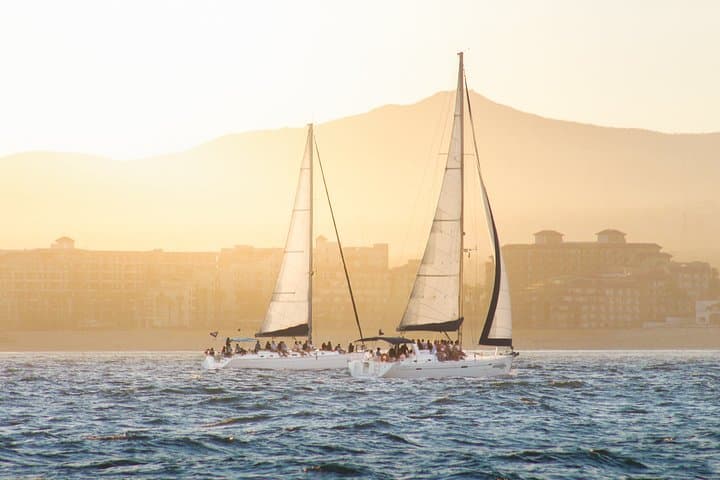 Los Cabos Luxury Sunset Sail: Arch Views, Sea Lions & Open Bar