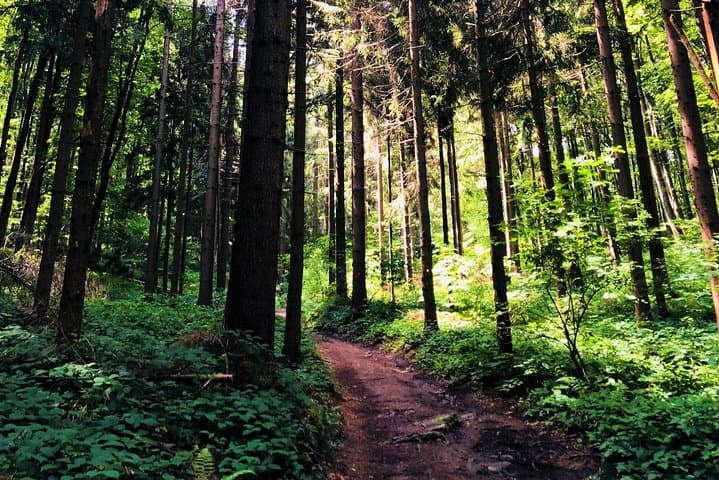 Guided Day Hike of Samobor Hills: Žumberak Peaks and Old Town Samobor photo 4