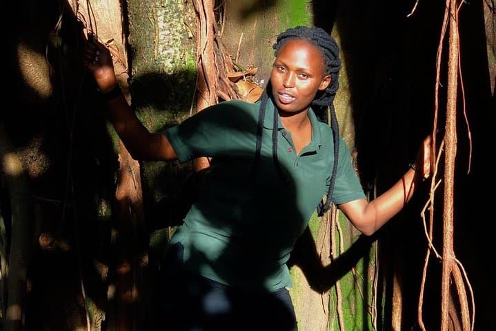Nyungwe National Park Canopy Walk & Birding Day Trip from Kigali photo 3