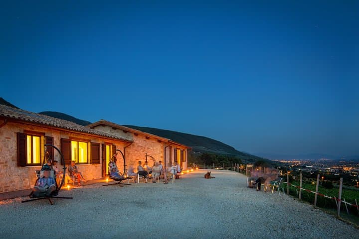Open-Air Organic Wine Tasting with Panoramic Views of Assisi photo 4