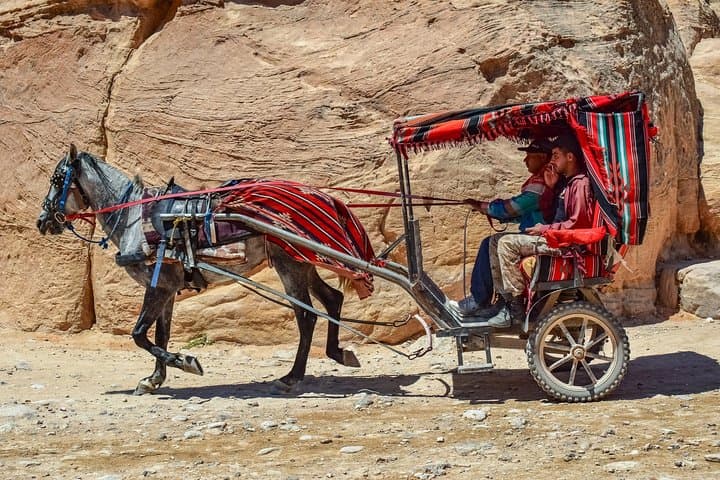 4-Day Jordan Highlights: Petra, Jerash and Amman from Tel Aviv