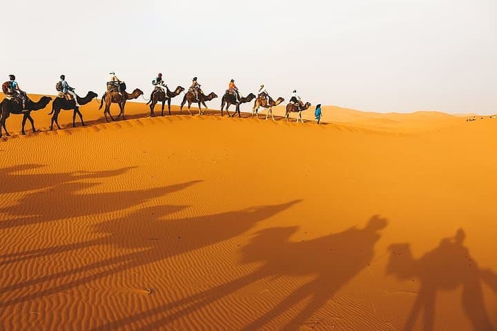 Two-Day Zagora Desert Escape: Camel Trek & Berber Camp from Marrakech