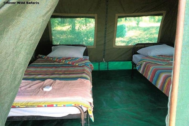 Zambezi Canoe Safari: 2-Day Canoeing & Tented Bush Camp from Victoria Falls photo 3