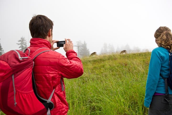 Canmore Wilderness & Wildlife Guided 2-Hour Walk