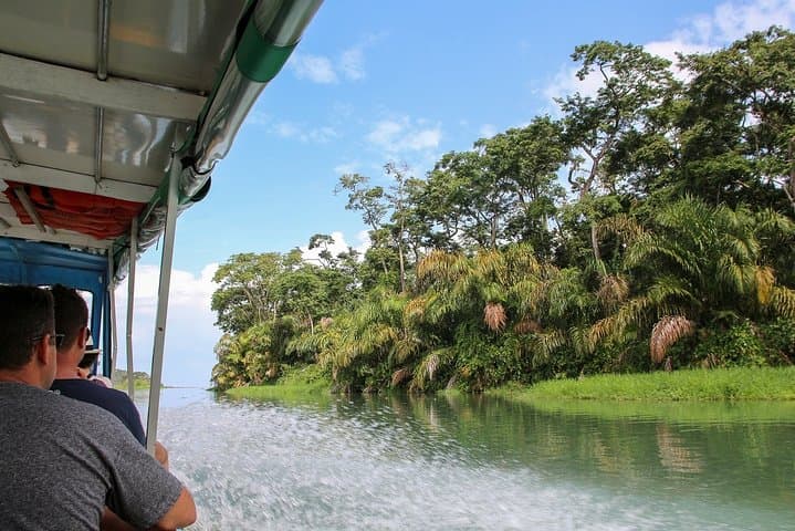 Sarapiquí River Safari & Tirimbina Rainforest Day Trip from San José photo 3