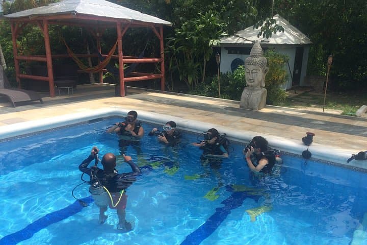 Discover Scuba Diving in San Andrés: Introductory DSD Open-Water Experience photo 2