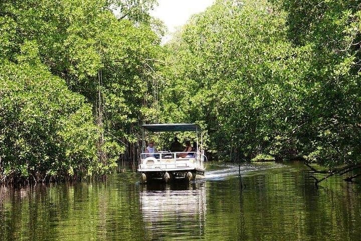 Black River Safari and YS Falls Private Tour — Montego Bay Day Trip to Jamaica’s Longest Navigable River and Seven-Tier Falls
