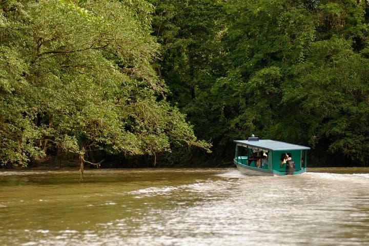 Sarapiquí River Safari & Tirimbina Rainforest Day Trip from San José photo 4