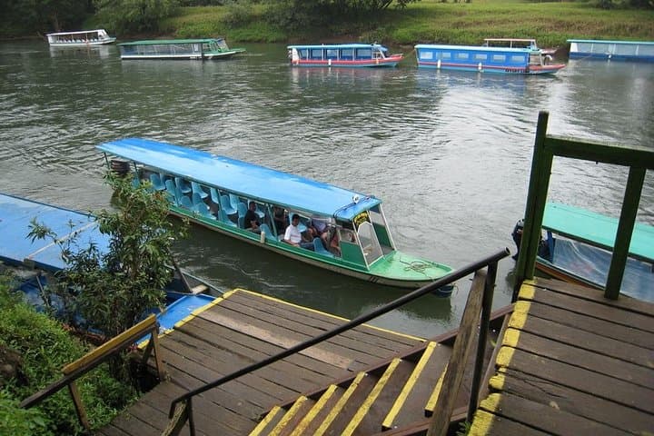 Sarapiquí River Safari & Tirimbina Rainforest Day Trip from San José photo 5