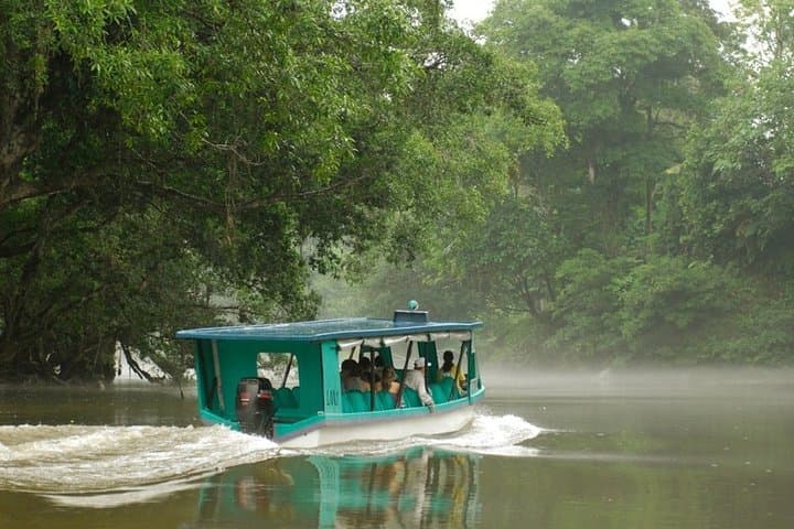 Sarapiquí River Safari & Tirimbina Rainforest Day Trip from San José photo 6
