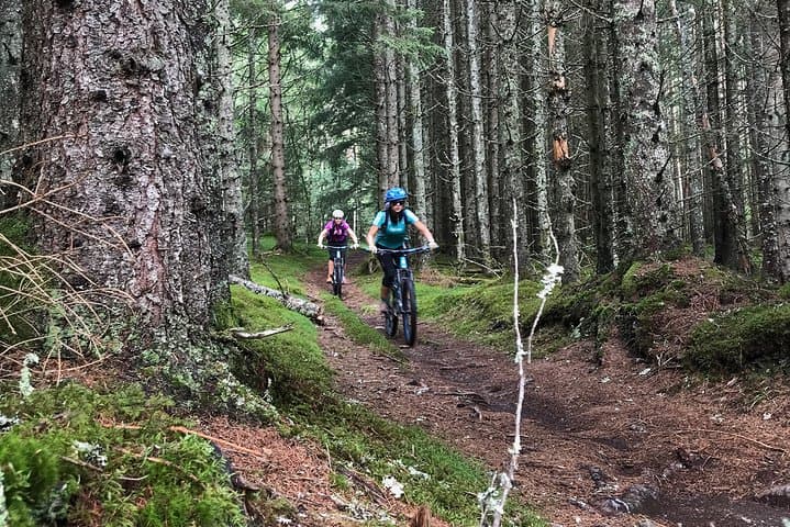 Voss Forest Mountain Bike Tour: Flow Singletrack & Vosso River Rides photo 6