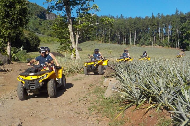 Moorea Quad and Jet Ski Combo: Belvedere Views, Pineapple Fields & Lagoon Wildlife photo 4