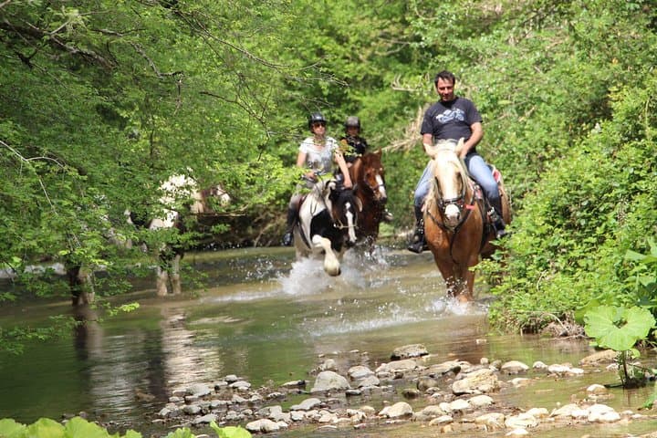 Sicily Horseback Ride in Modica: Quarry Trails & Irminio River Hack