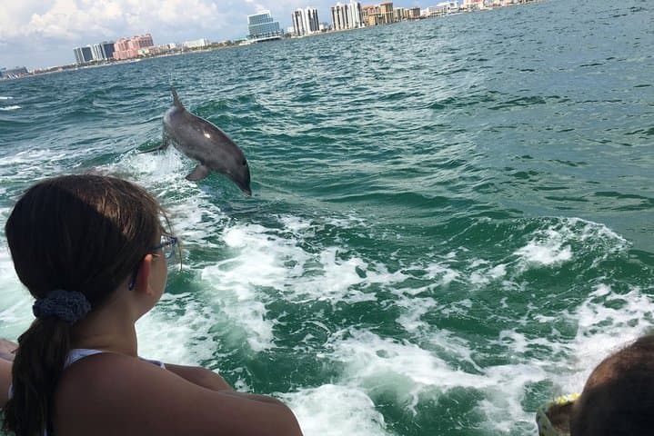 Little Toot Dolphin Adventure: Clearwater Beach Dolphin Watching & Harbor Cruise