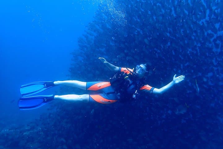 Tamarindo Scuba Refresher: Half-Day Pacific Dive Skills Reset