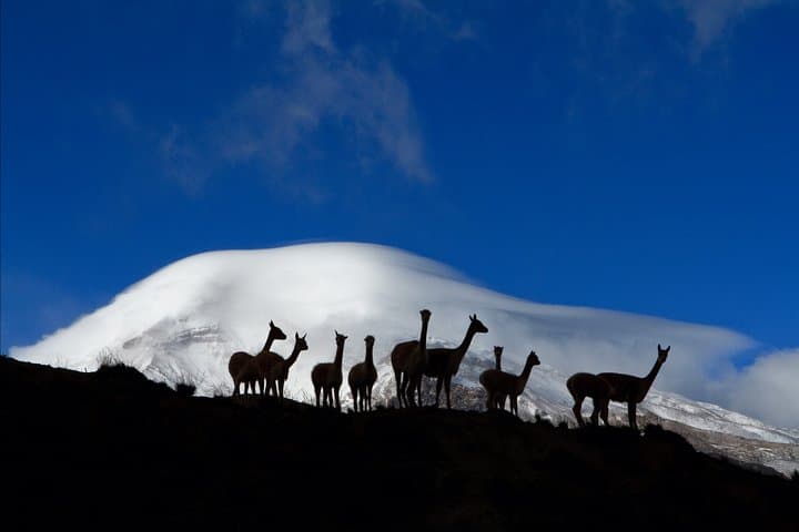 7-Day Cultural Journey Through the Ecuadorian Andes: Quito to Guayaquil photo 2