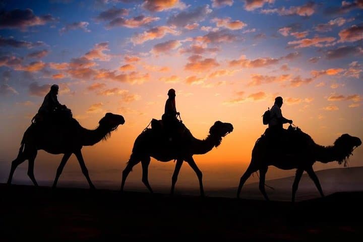 Sunset Camel Ride in Merzouga's Erg Chebbi Dunes photo 3