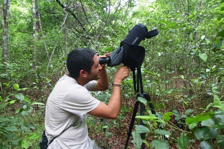 Birdwatching in Sian Kaan Muyil from Tulum — Shared Group Birding Tour photo 4