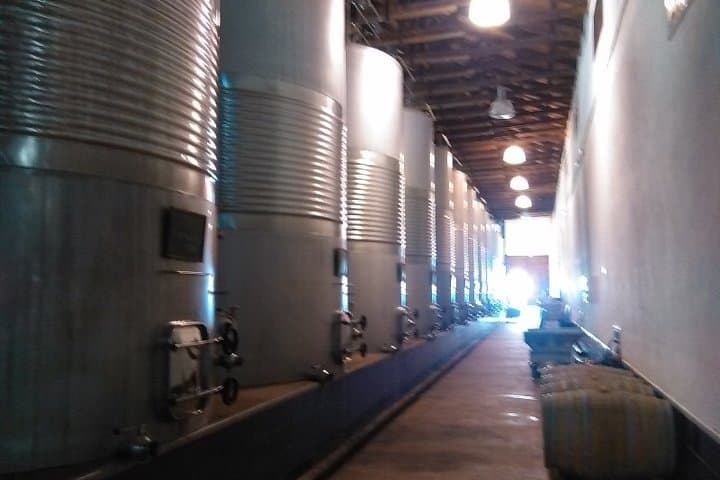 Toledo, Windmills & Winery Small-Group Day Tour from Madrid photo 6