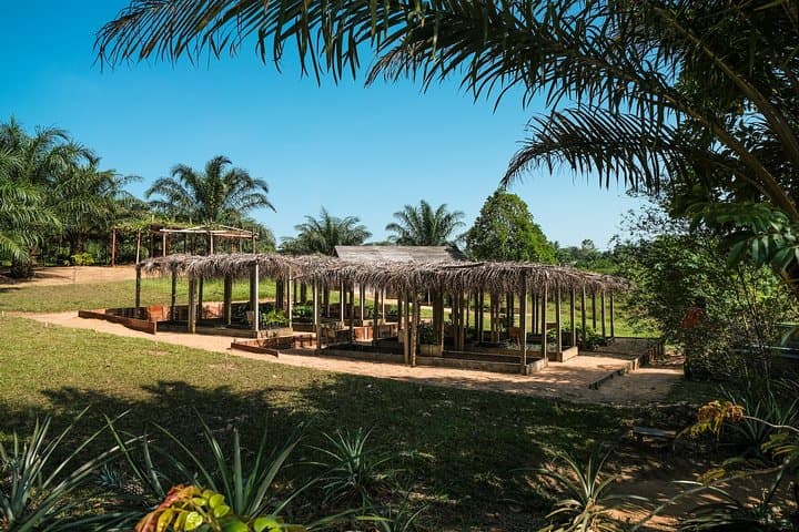 Kisangani Walking Tour: Best Sights, Stories & Practical Tips photo 2