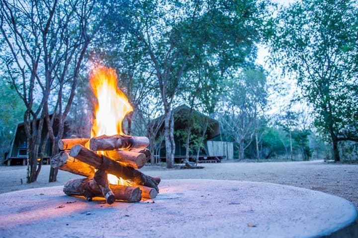 Sabi Sands Express Safari: 5-Day Big Five Wildlife Experience