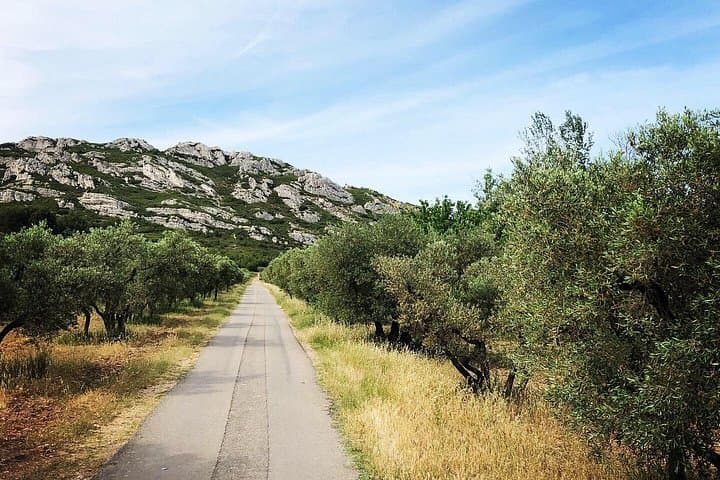 4x4 Safari in the Alpilles (4h) — Villages, Olive Groves & Van Gogh Landscapes from Arles