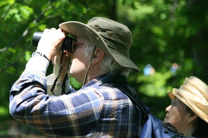 Talangama Wetland Birdwatching Walk — Half-Day Nature Escape from Colombo