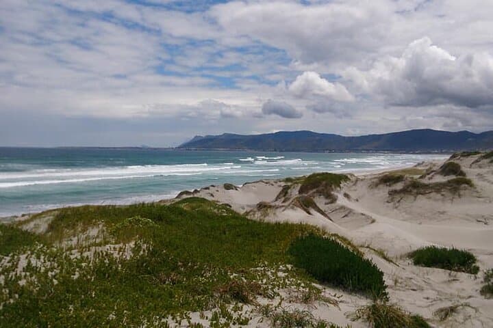 Walker Bay Beach Ride: De Kelders Whale-Watching Horseback Experience photo 6