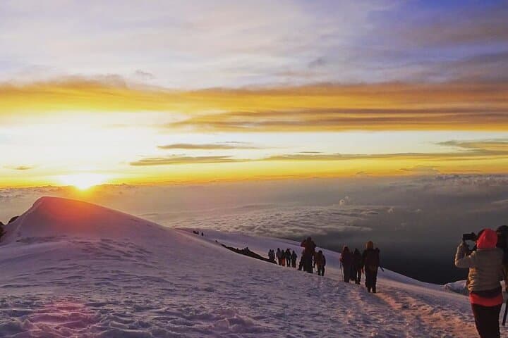 8-Day Kilimanjaro Trek: Summit Africa's Highest Peak photo 5