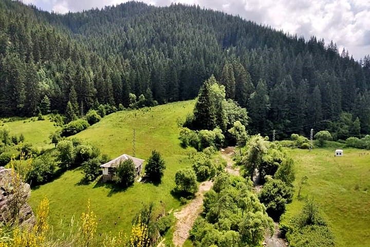 Rhodope Mountains: Bagpipe Workshop & Rozhen Observatory Tour from Plovdiv
