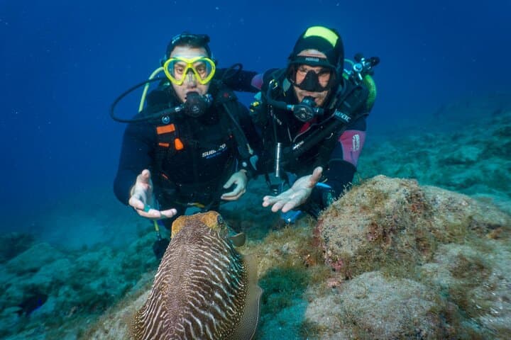 Try Dive by Boat in Puerto Colón — Beginner Scuba in Costa Adeje photo 3