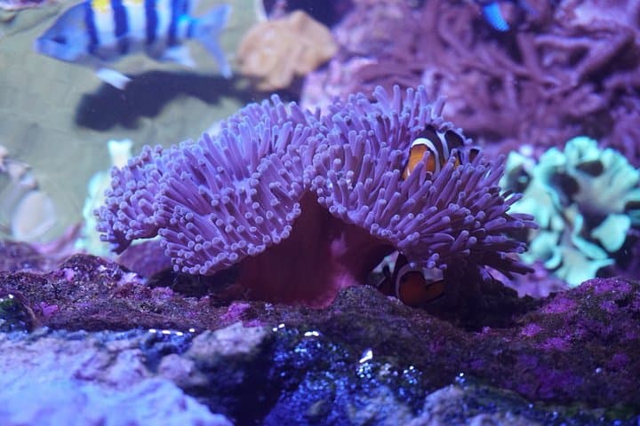 Seville Aquarium Admission — Explore Magellan’s Ocean Voyage in Seville photo 4