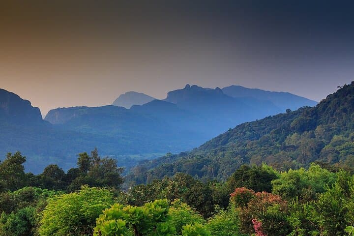 High Knuckles Trekking from Kandy — Full-Day Knuckles Mountains Hike (14–22 km) photo 2