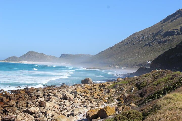 Cape Point & Boulders Penguins: Private Small-Group Tour from Cape Town photo 5