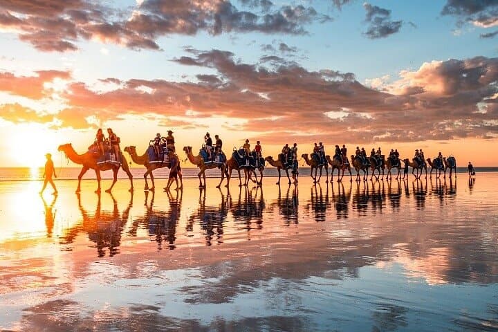 Sunset Camel Ride on Cable Beach — 1 Hour Broome Camel Tour photo 6