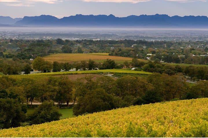 Constantia Hidden Gem Cycle: Half-Day Wine Tasting & Bike Tour photo 2