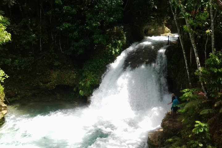 Blue Hole & Ocean Horseback Ride from Montego Bay — Jump, Swim and Ride in Ocho Rios photo 4