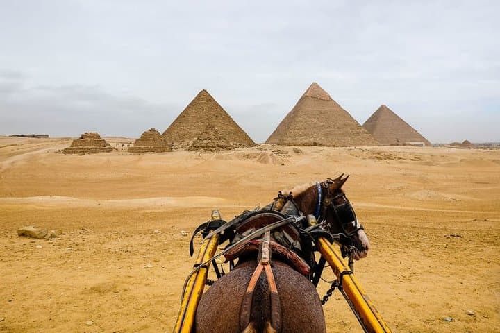 Horse Carriage at Giza Pyramids: Private Half-Day Tour from Cairo photo 4