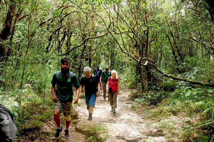 Knuckles Mountain Hike from Kandy: Waterfalls, Ridge Views & Indigenous Forests photo 6