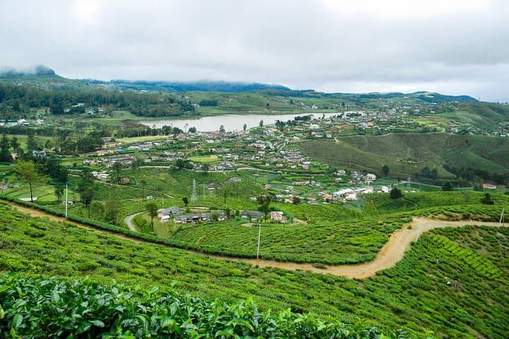 Single Tree Hill Hike Nuwara Eliya: Panoramic One-Tree Hill Trek photo 2
