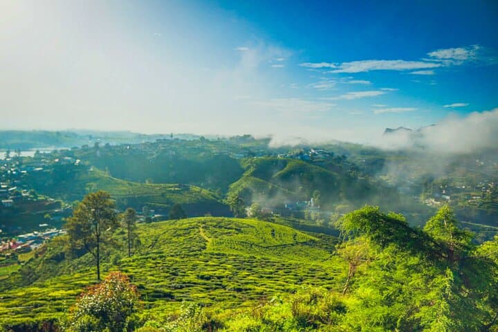 Single Tree Hill Hike Nuwara Eliya: Panoramic One-Tree Hill Trek
