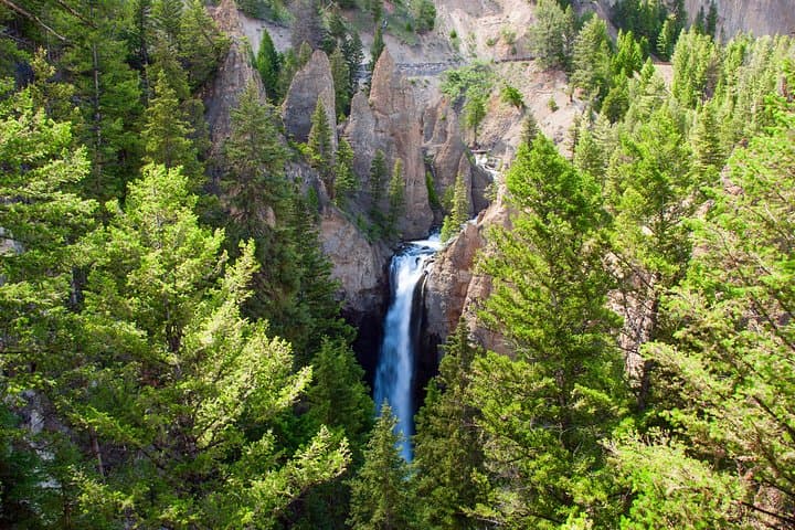 Explore Yellowstone National Park: A Full Day Private Tour of Its Iconic Geology and Wildlife photo 3