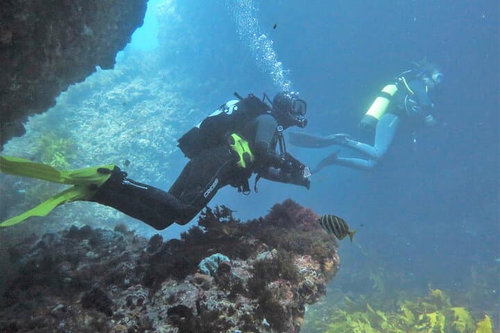 PADI Open Water Course: Learn to Scuba from Rockingham to Rottnest Island photo 5